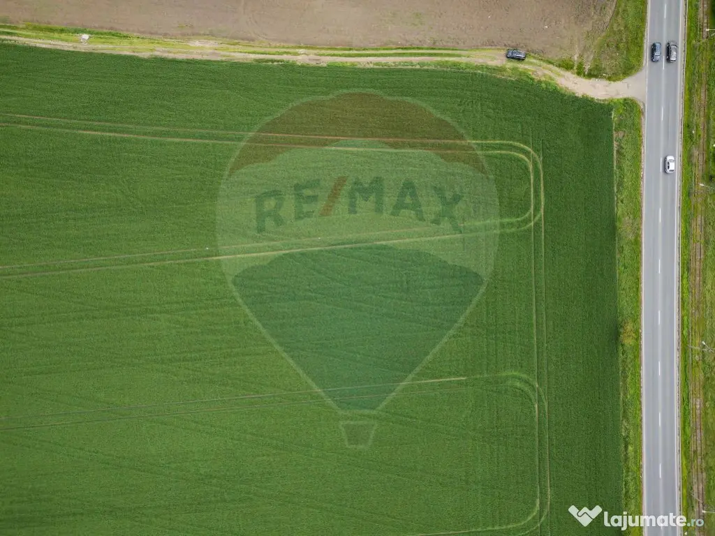 Teren 30,000mp Arad / Soseaua Centura Arad Nord 
