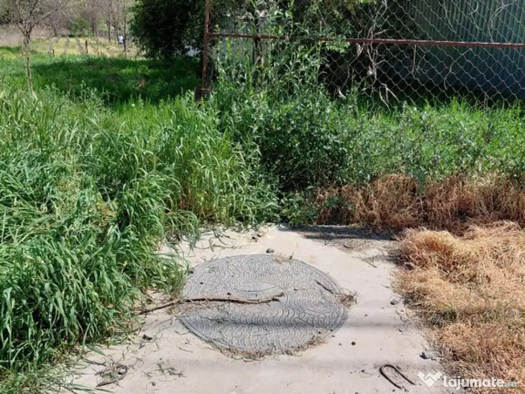 Teren intravilan 3.250 mp în Filești – Ideal pentru c... 