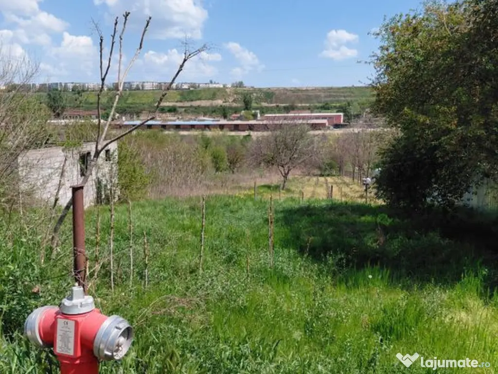 Teren intravilan 3.250 mp în Filești – Ideal pentru c... 