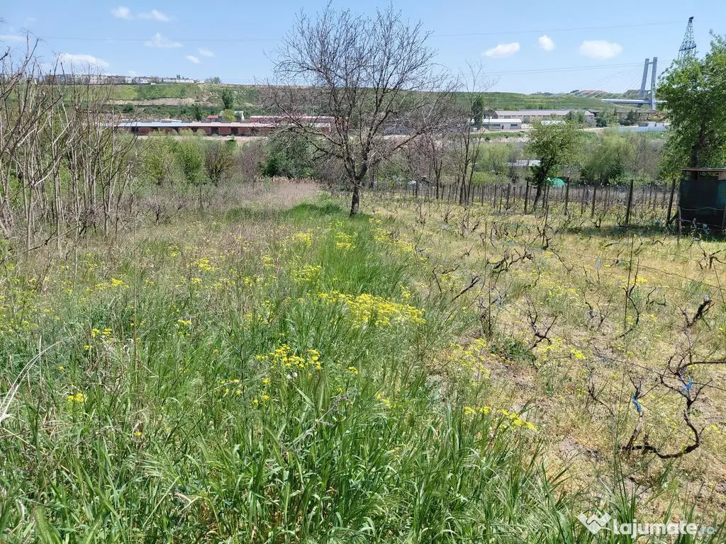 Teren intravilan 3.250 mp în Filești – Ideal pentru c... 