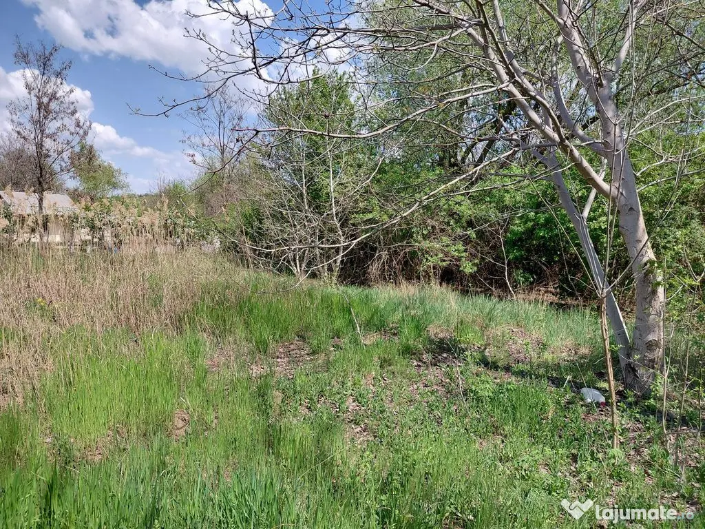 Teren intravilan 3.250 mp în Filești – Ideal pentru c... 