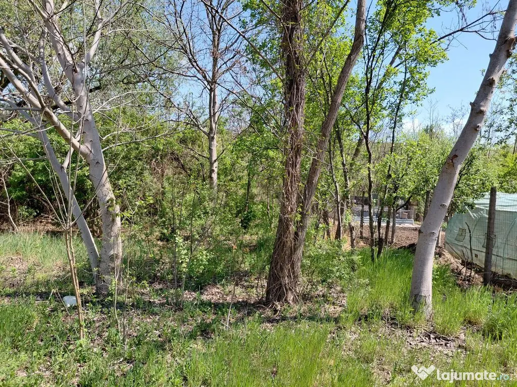 Teren intravilan 3.250 mp în Filești – Ideal pentru c... 