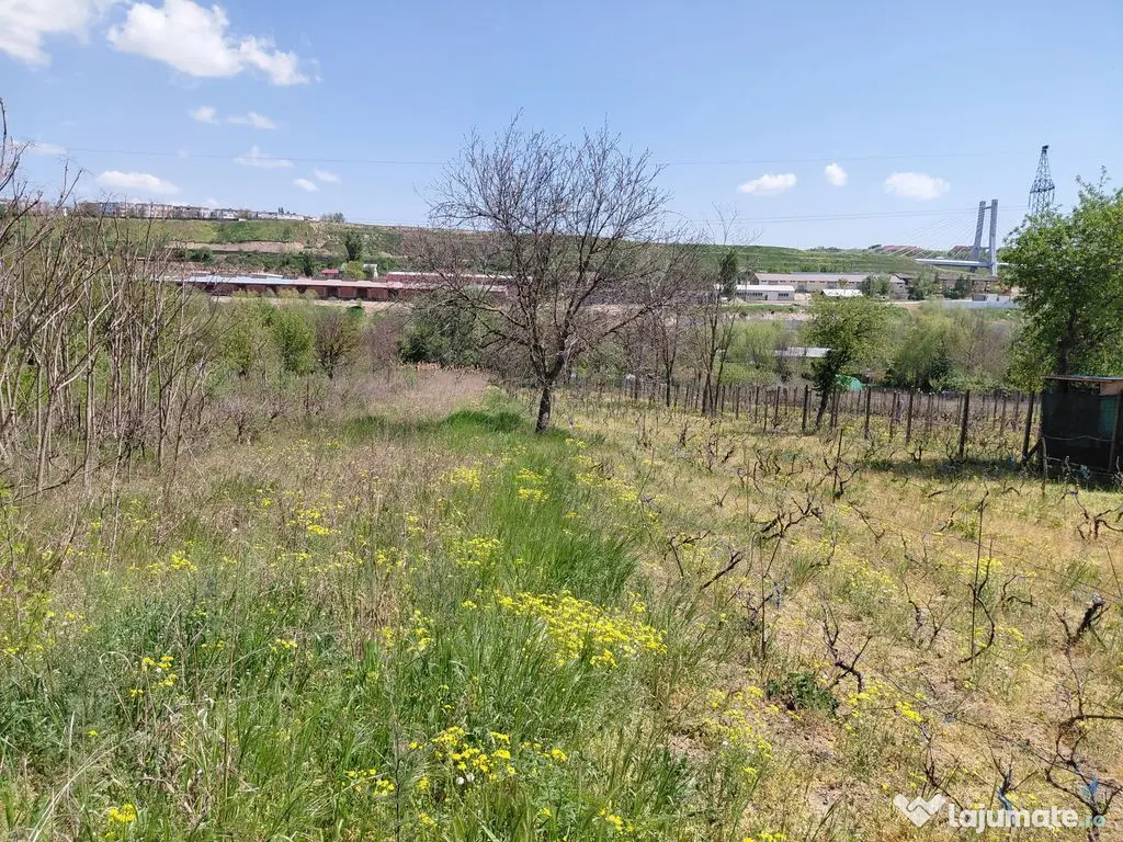 Teren intravilan 3.250 mp în Filești – Ideal pentru c... 