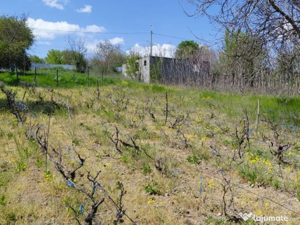 Teren intravilan 3.250 mp în Filești – Ideal pentru c... 