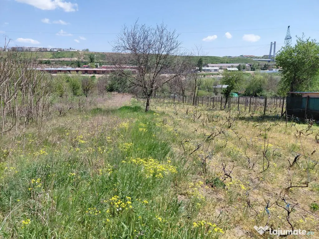 Teren intravilan 3.250 mp în Filești – Ideal pentru c... 