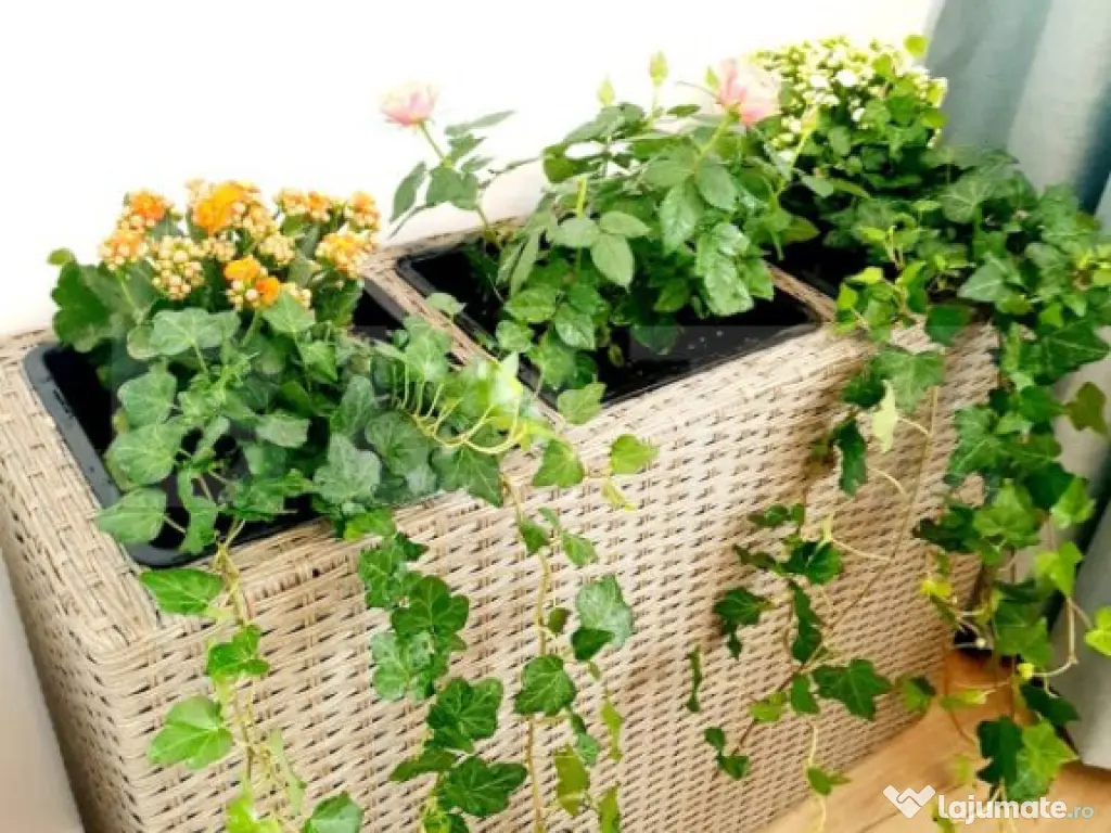 Apartament de vanzare, cu 3 camere, 70 mp, zona Manastur