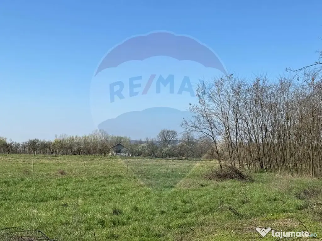 TEREN DE VÂNZARE ÎN MERISOR