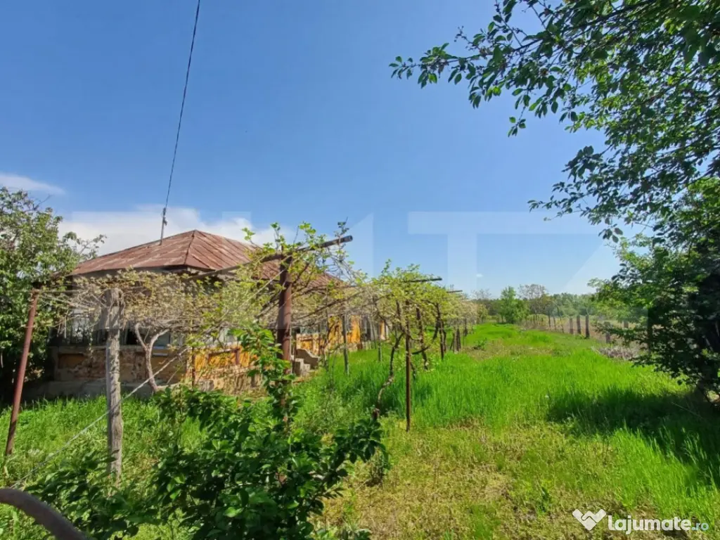 Teren de vanzare, 7300 mp, zona Danesti