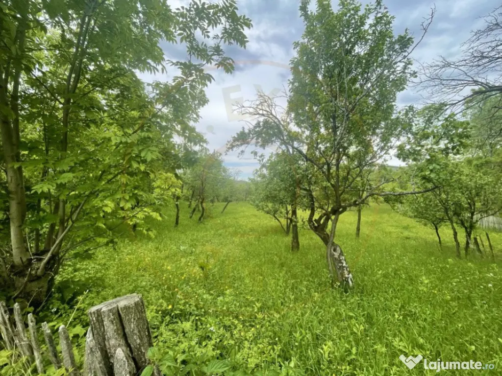 Teren intravilan Sotrile 6762 mp – Investitie, camping, ag 