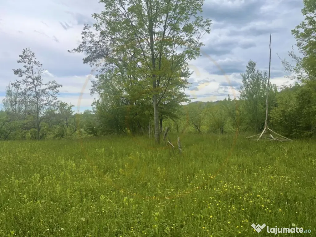 Teren intravilan Sotrile 6762 mp – Investitie, camping, ag 