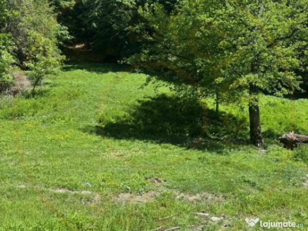 Terenuri 12.225 mp - Ramnicu Valcea, Aranghel 