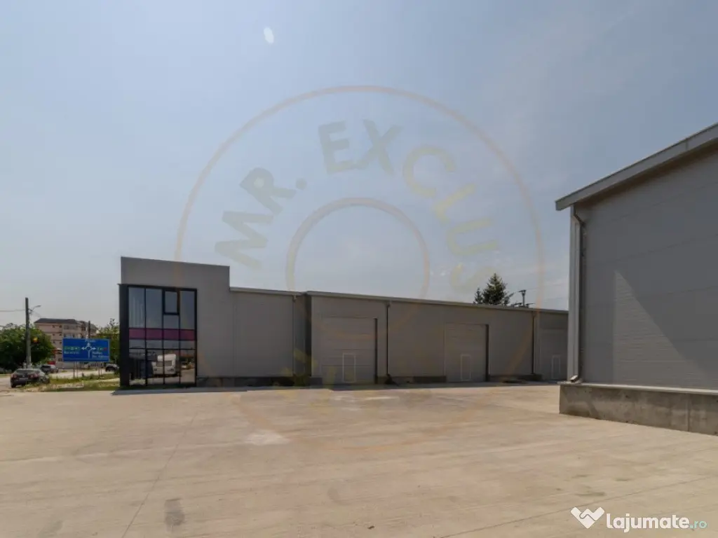 Inchiriere hala noua zona Bascov la DN 7C 