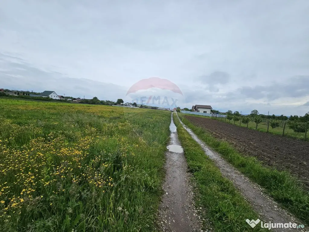 Teren 1,495mp Dobreni / Strada Parau Almas 