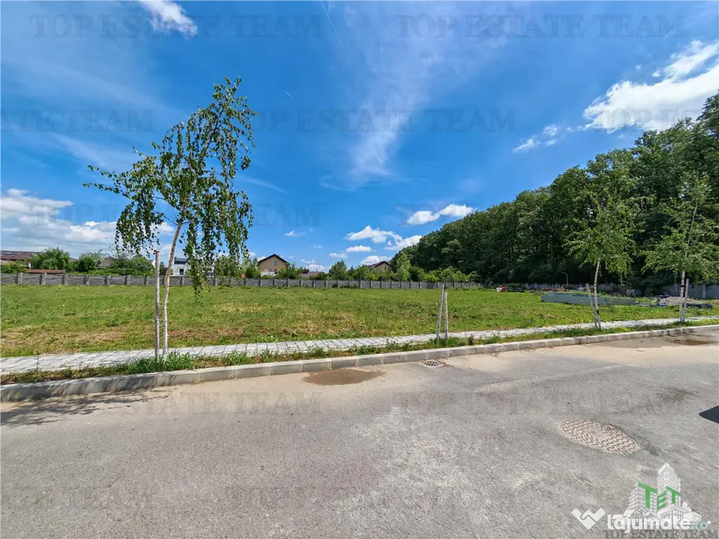 Teren constructii in proximitatea Padurii Corbeanca 