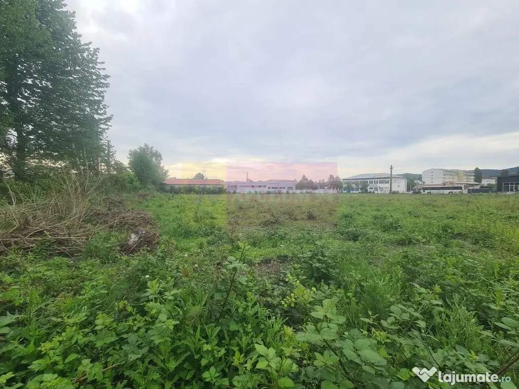 Teren intravilan de vanzare in Campina 