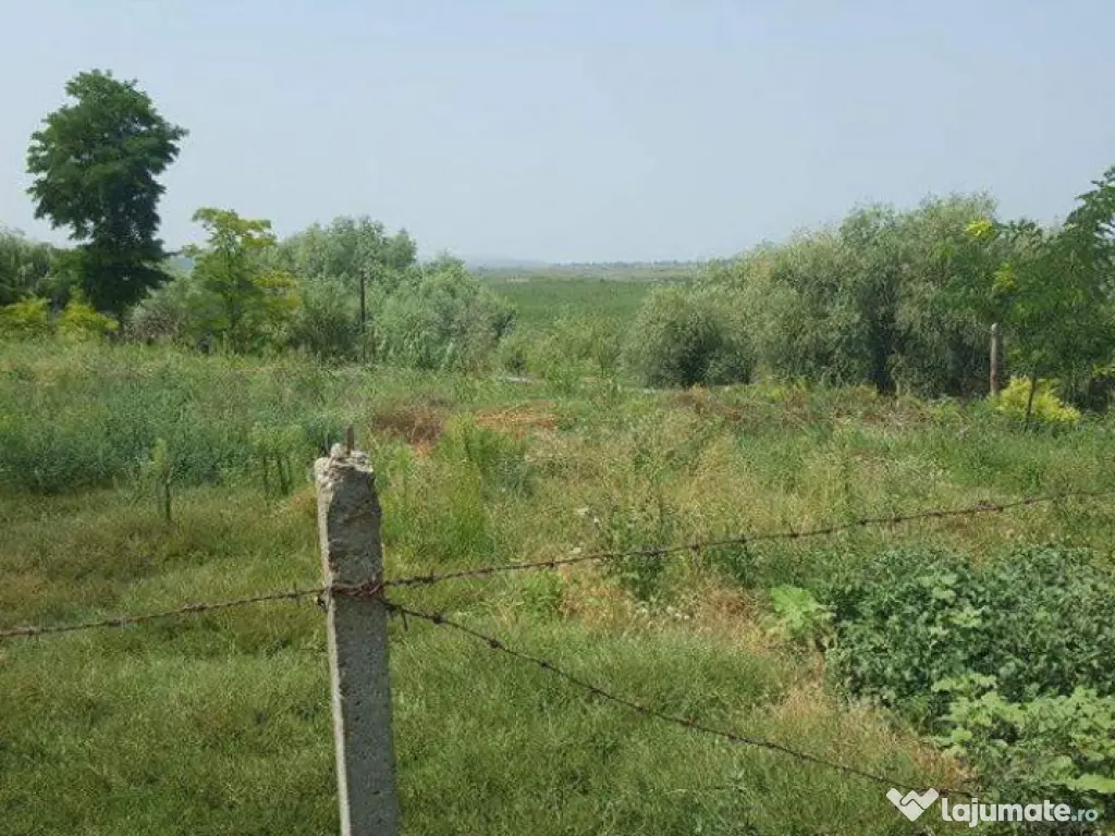 CASLITA- TEREN 1629 MP, IESIRE LA BALTA CASLA