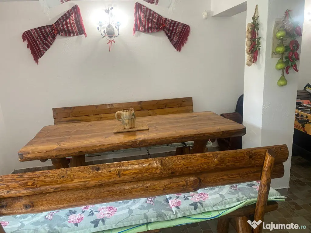 Vila de vacanta situata in Busteni 