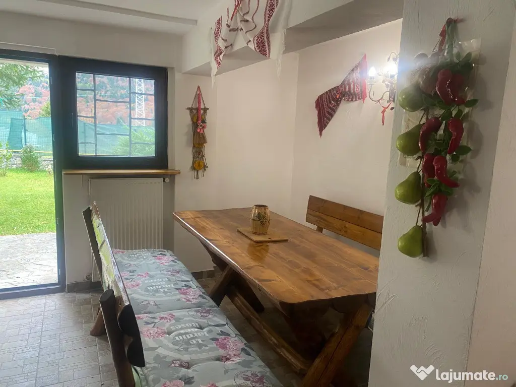 Vila de vacanta situata in Busteni 