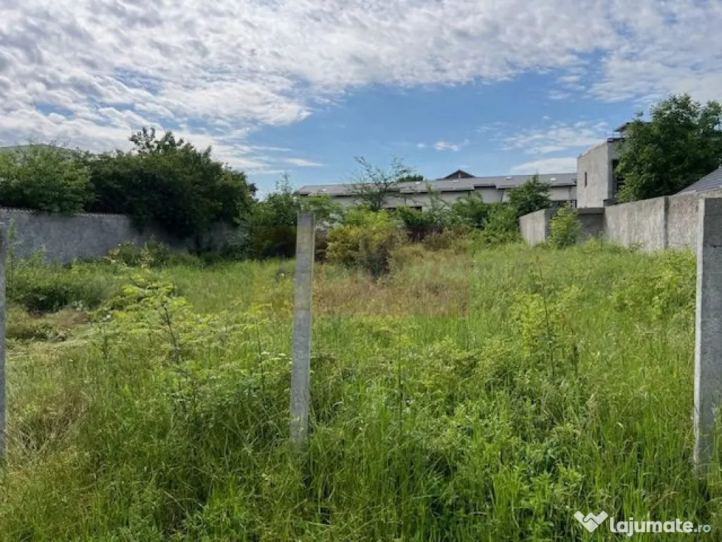 Teren Ghencea- Dantelei- Darvari.