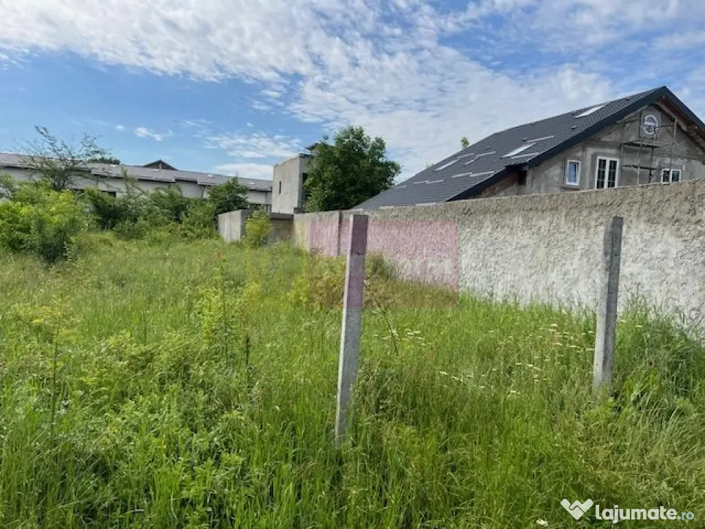 Teren Ghencea- Dantelei- Darvari.