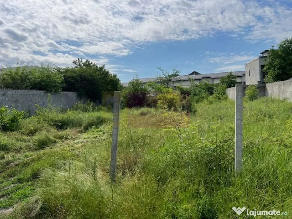 Teren Ghencea- Dantelei- Darvari.