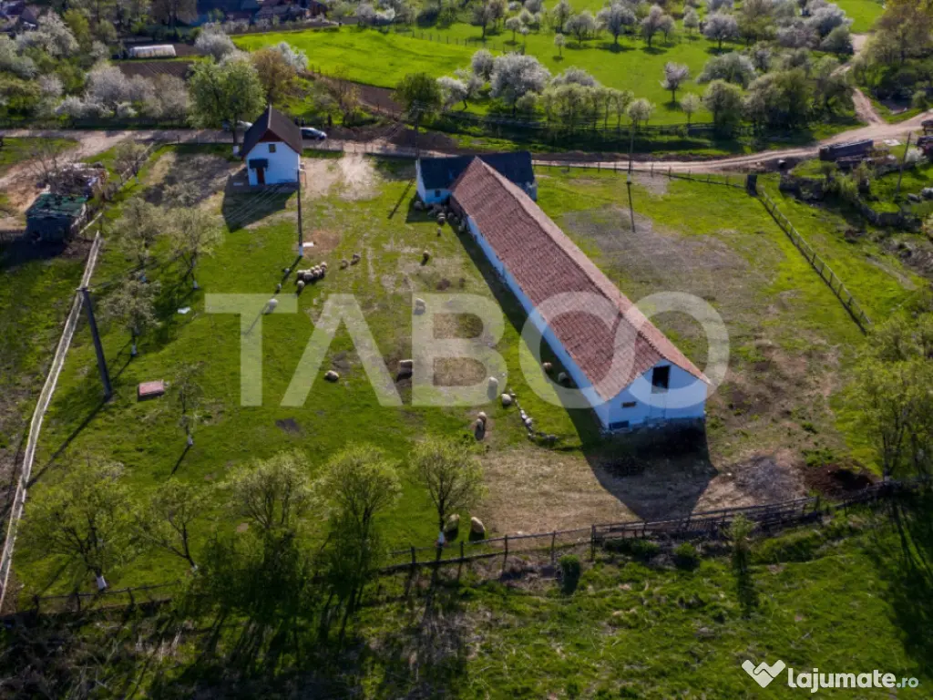 Microferma cu locuinta de vanzare in Pianu de sus 