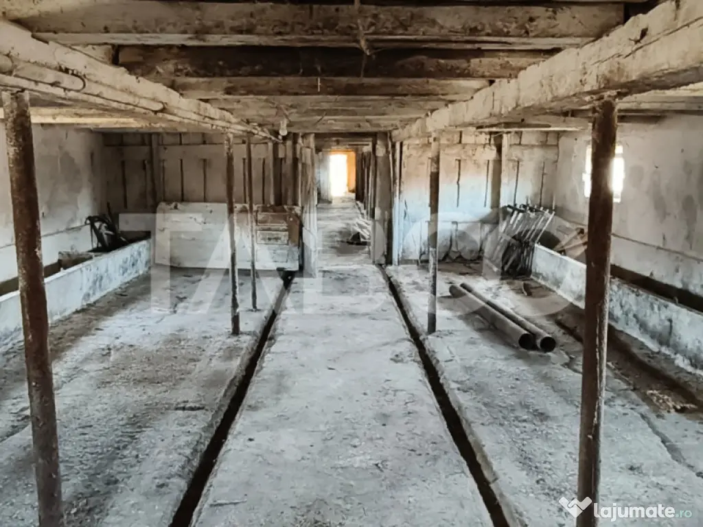 Microferma cu locuinta de vanzare in Pianu de sus 