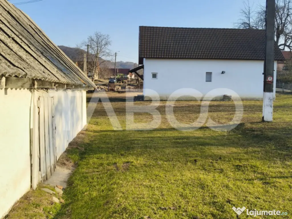 Microferma cu locuinta de vanzare in Pianu de sus 
