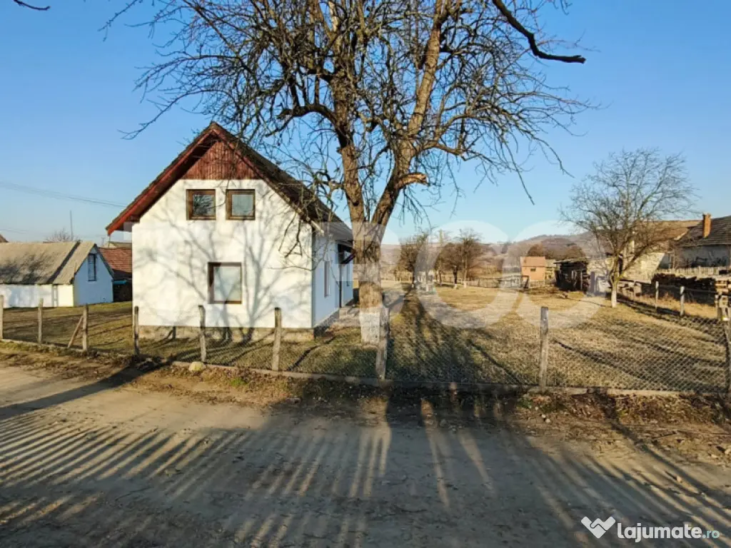Microferma cu locuinta de vanzare in Pianu de sus 