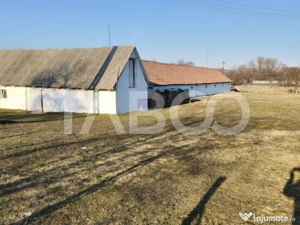 Microferma cu locuinta de vanzare in Pianu de sus 