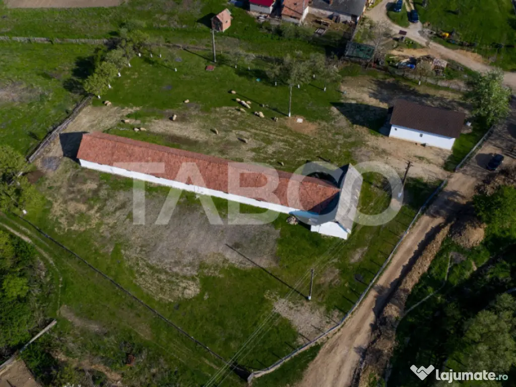 Microferma cu locuinta de vanzare in Pianu de sus 