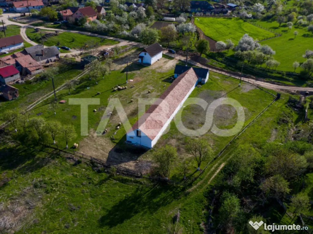 Microferma cu locuinta de vanzare in Pianu de sus 