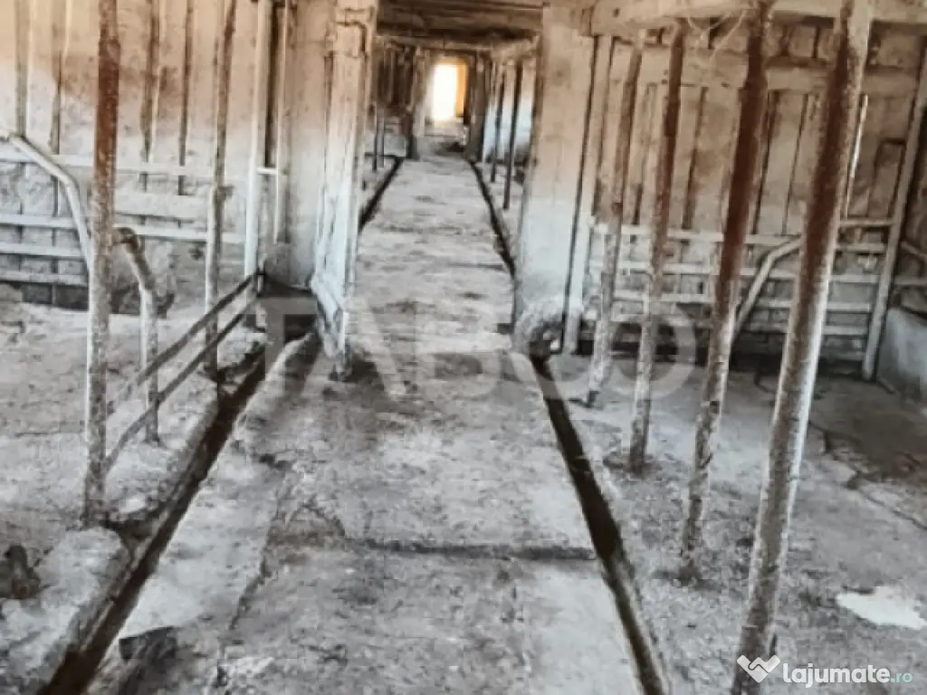 Microferma cu locuinta de vanzare in Pianu de sus 