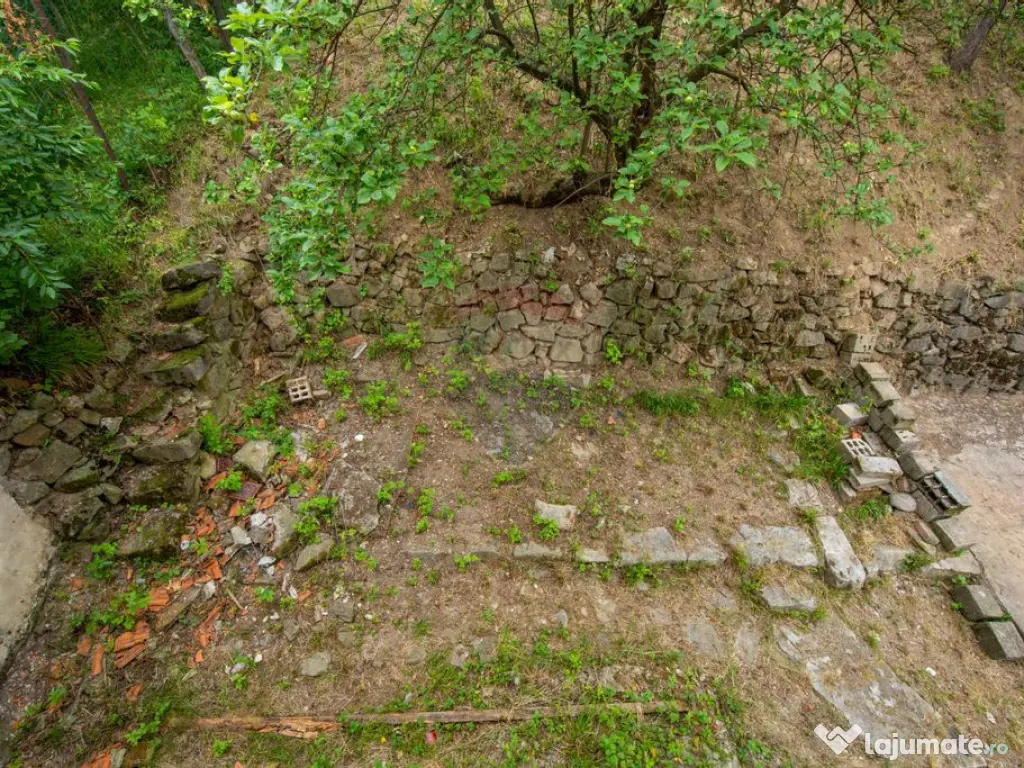 Proprietate compusă din două case si teren 378 mp Purc?...