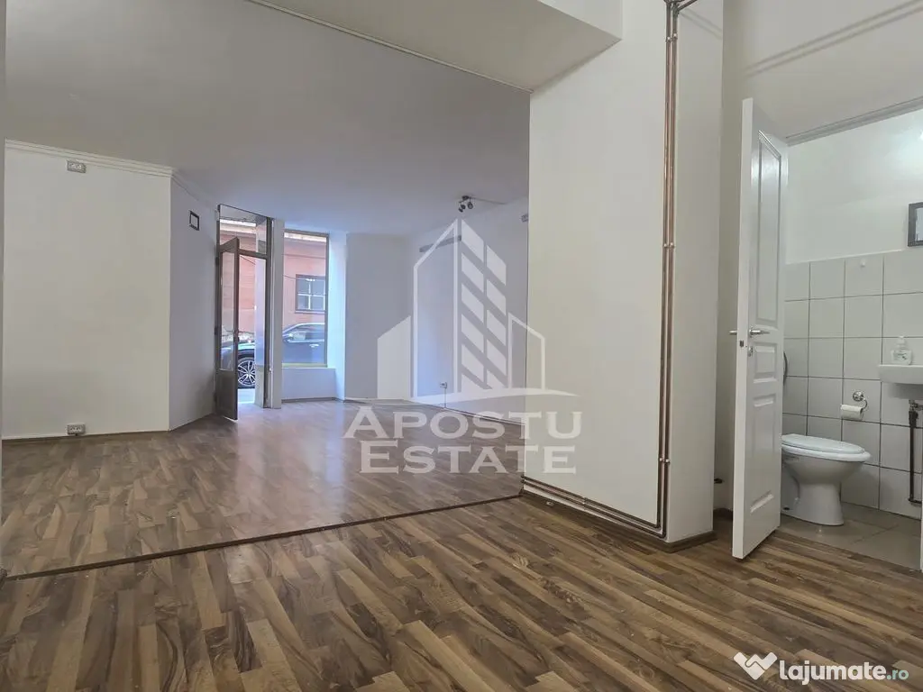 Spatiul comercial central 