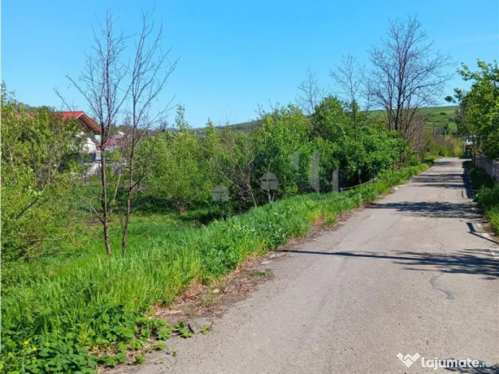 Ocazie! Vorovesti TEREN 1787mp intravilan toate utilitatile 