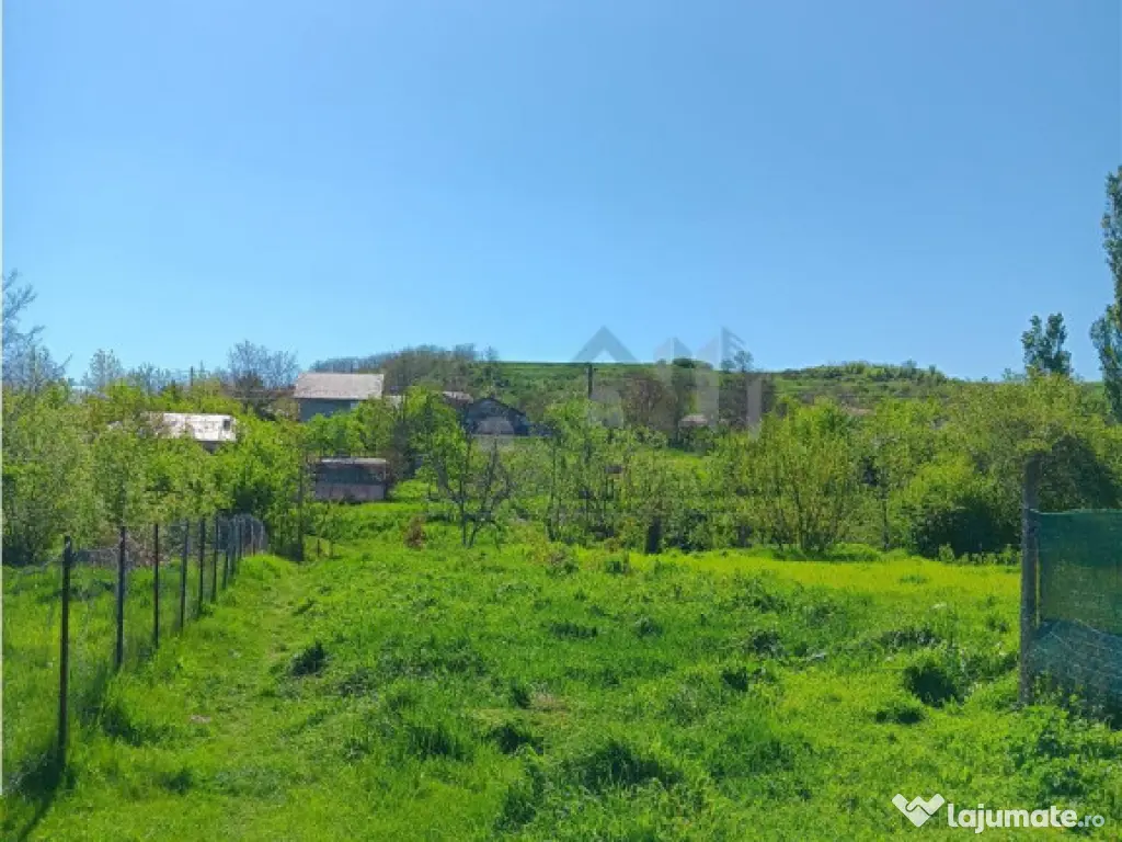 Ocazie! Vorovesti TEREN 1787mp intravilan toate utilitatile 