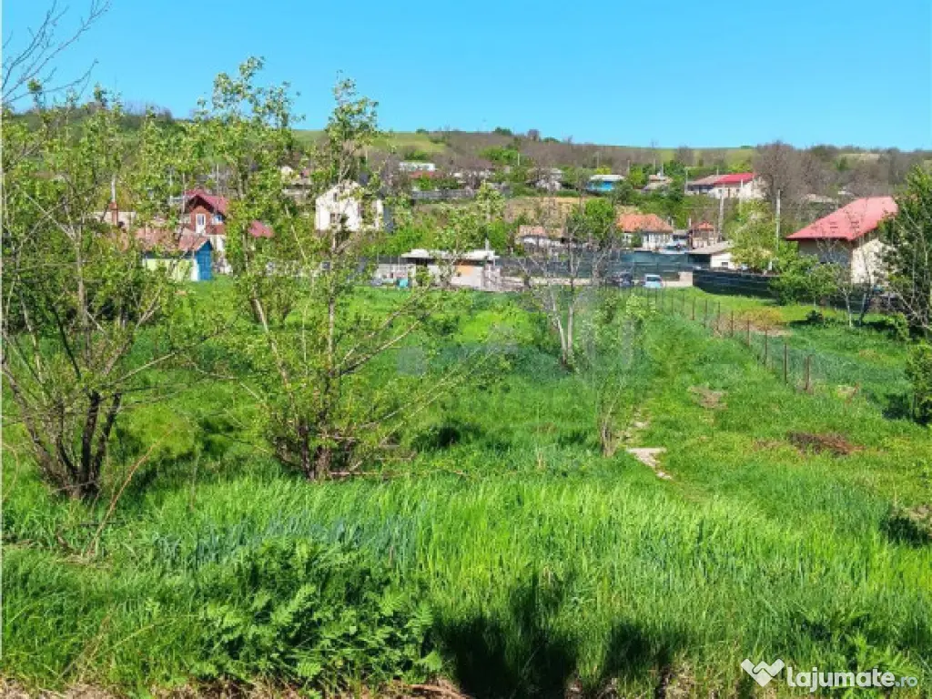 Ocazie! Vorovesti TEREN 1787mp intravilan toate utilitatile 