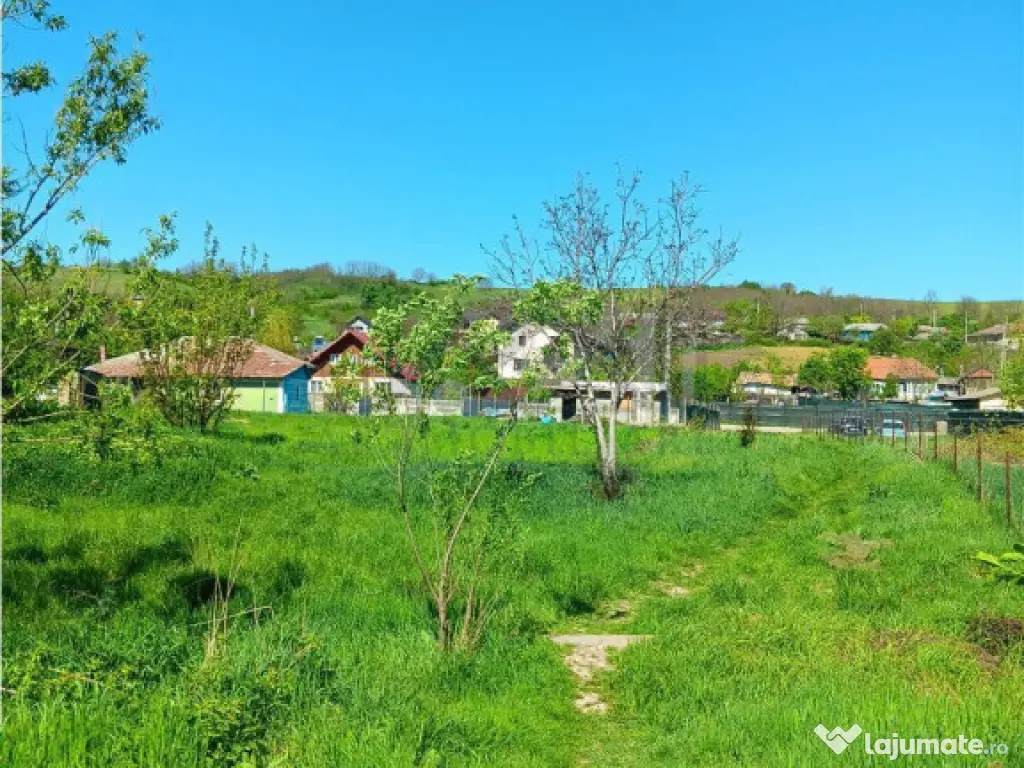 Ocazie! Vorovesti TEREN 1787mp intravilan toate utilitatile 