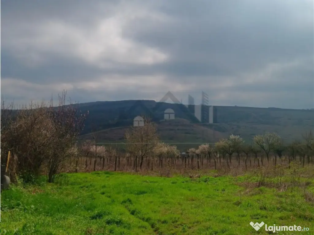 Aroneanu - Dorobant TEREN 46000mp PUZ realizat 59 de case la 