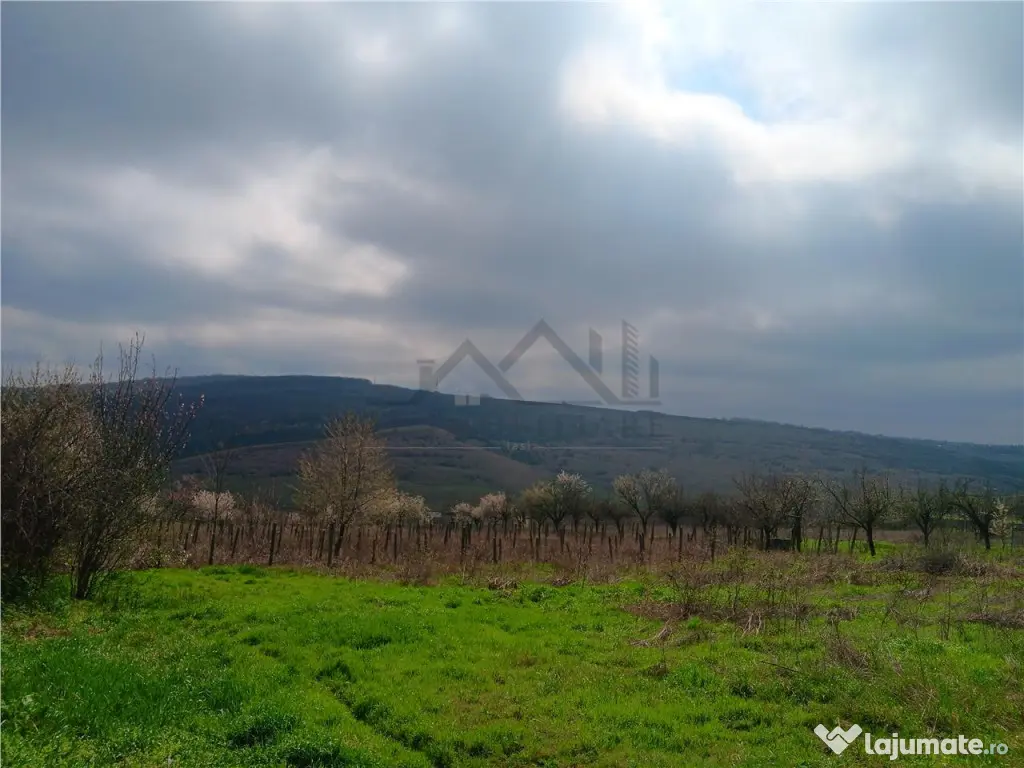 Aroneanu - Dorobant TEREN 46000mp PUZ realizat 59 de case la 