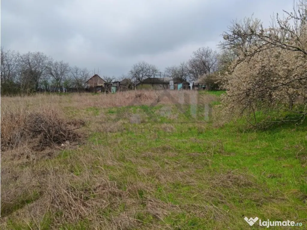 Aroneanu - Dorobant TEREN 46000mp PUZ realizat 59 de case la 