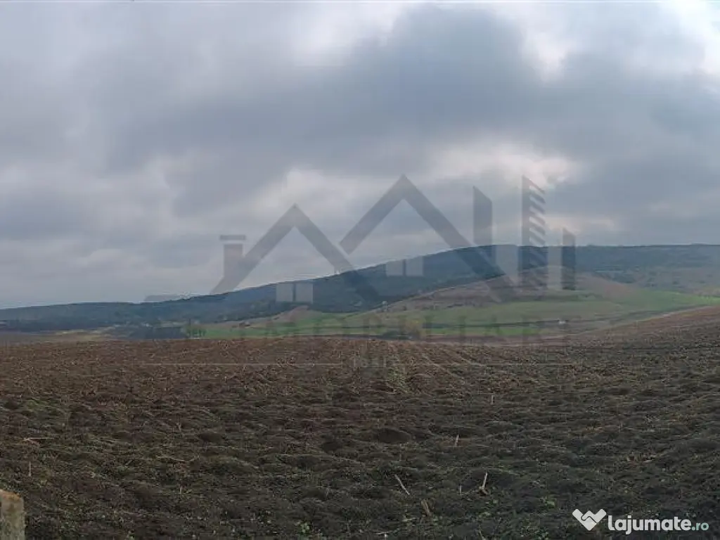 Aroneanu - Dorobant TEREN 46000mp PUZ realizat 59 de case la 