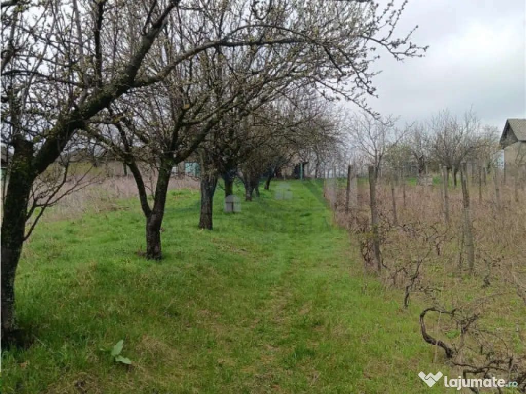 Aroneanu - Dorobant TEREN 46000mp PUZ realizat 59 de case la 