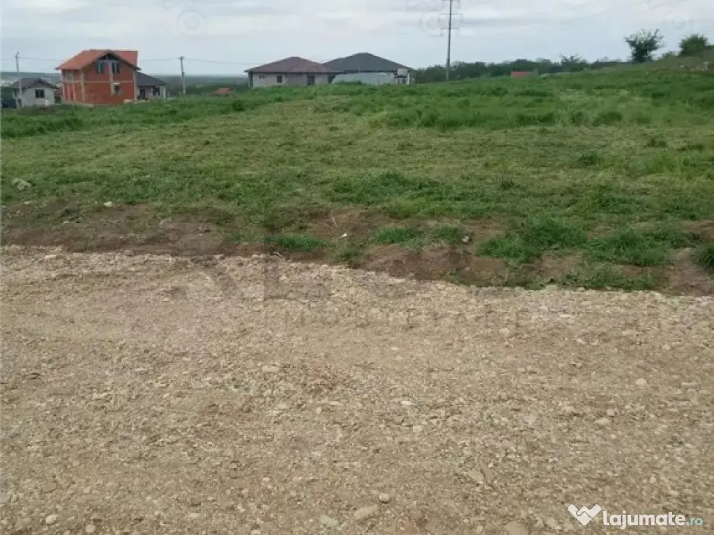 RECO Teren intravilan in Betfia 