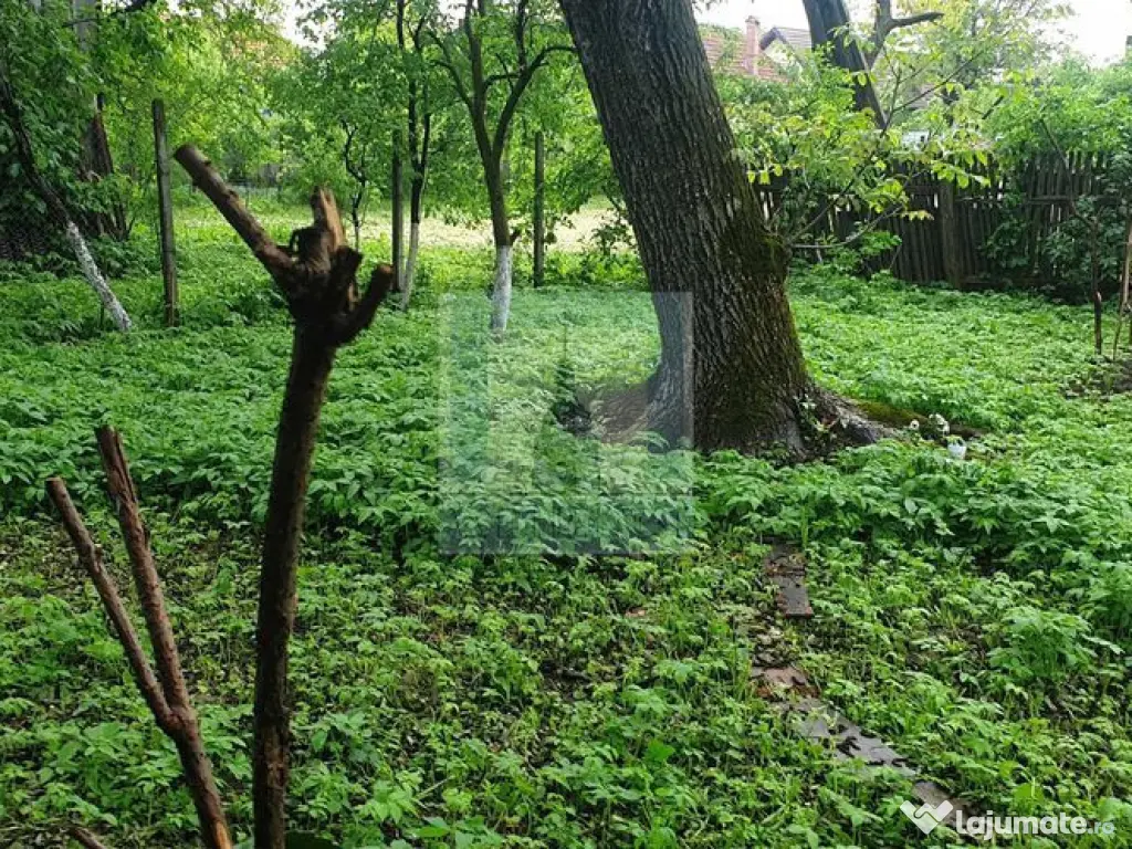 Casă bătrânească de vânzare în Tărlungeni 