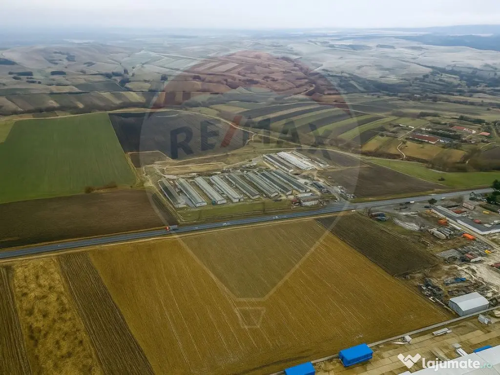 Teren 39,244mp Ilisesti / Strada Principala 