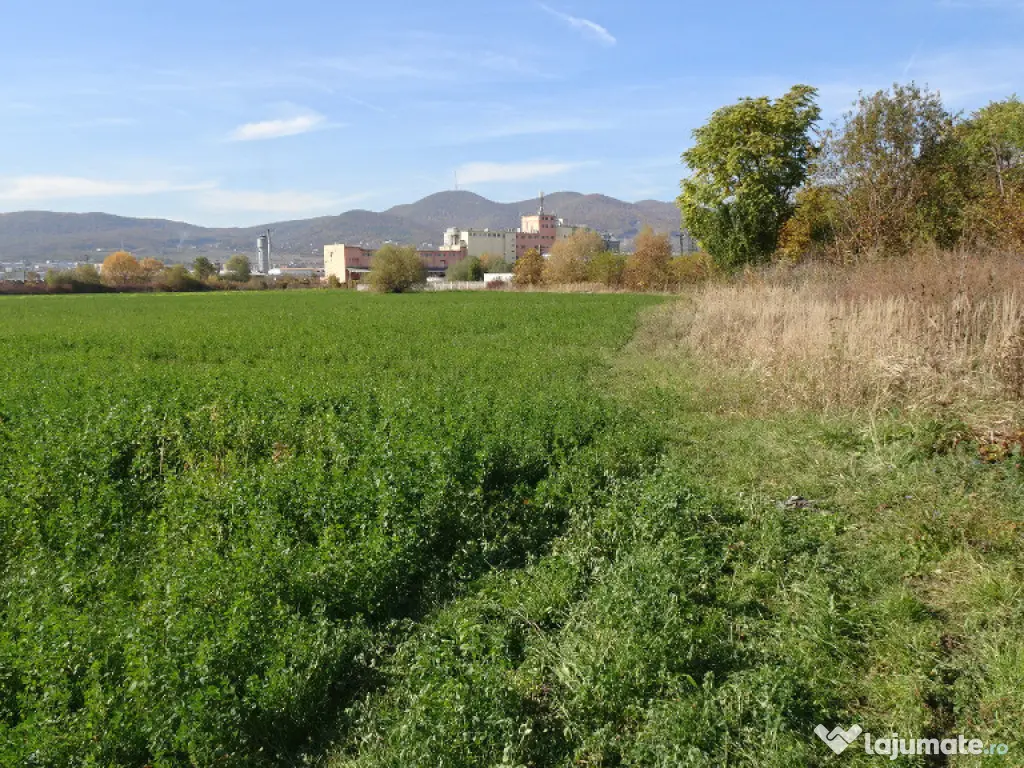 Vand teren intravilan in Deva suprafata totala 43 000 mp, zona Auchan 
