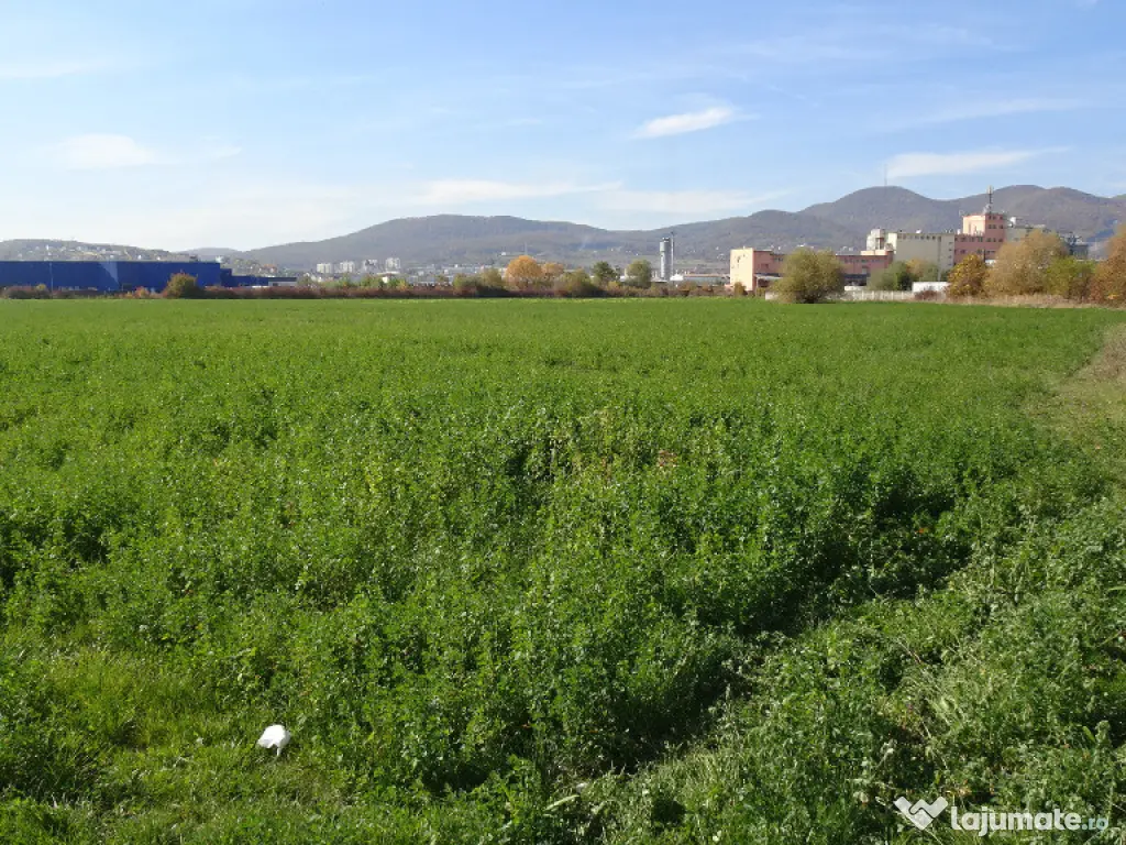Vand teren intravilan in Deva suprafata totala 43 000 mp, zona Auchan 