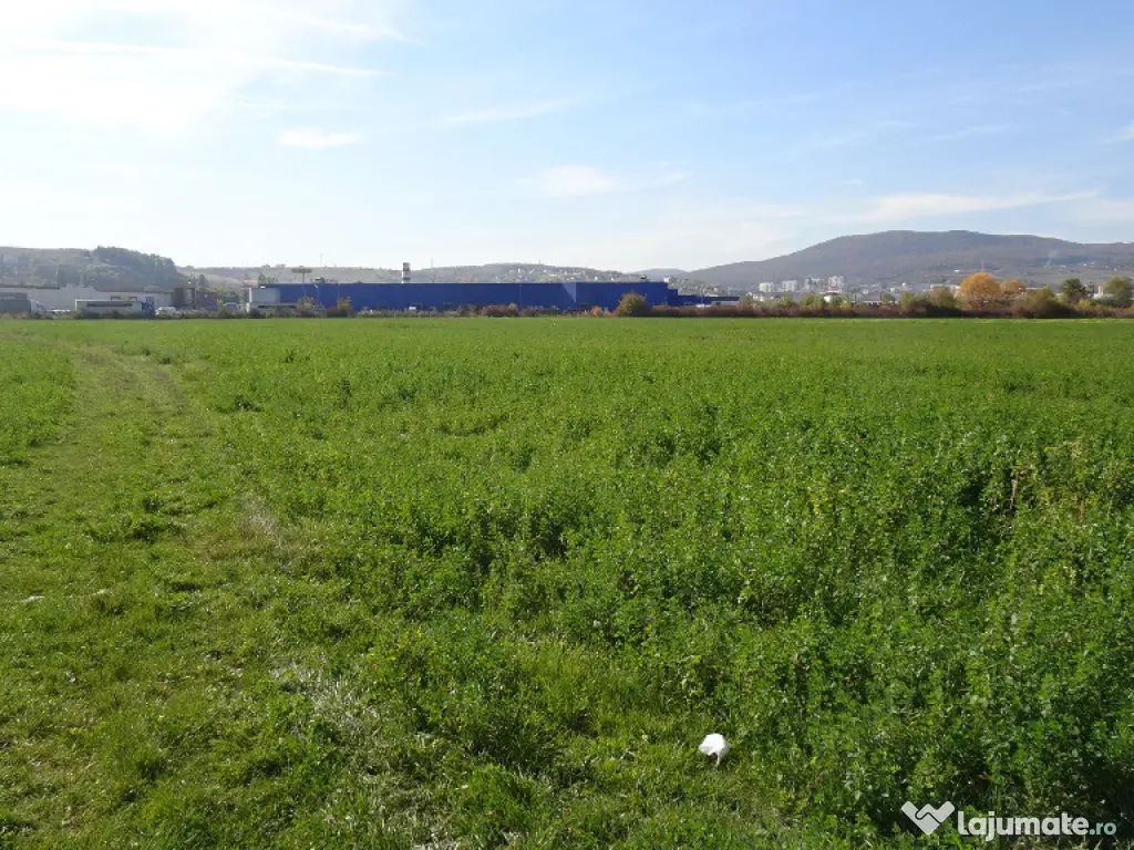 Vand teren intravilan in Deva suprafata totala 43 000 mp, zona Auchan 